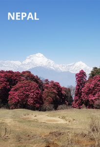 coachingreise-nepal